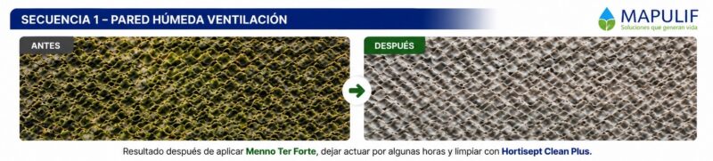 Antes y después de la eliminación de algas en pared húmeda de ventilación utilizando Menno Ter Forte.